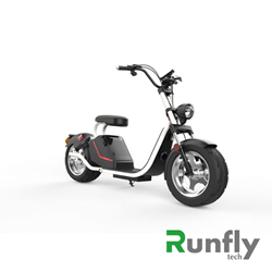 RUNSCOOTERS EEC COCO HARLEY CITYCOCOHLS26-1