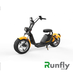 RUNSCOOTERS EEC COCO HARLEY CITYCOCOHLS6-3