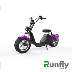 RUNSCOOTERS EEC COCO HARLEY CITYCOCOHLS26-5
