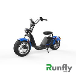 RUNSCOOTERS EEC COCO HARLEY CITYCOCOHLS26-4
