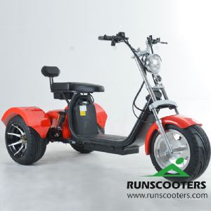 Haley citycoco Motorycycle-RUNSCOOTERSHLS04-C