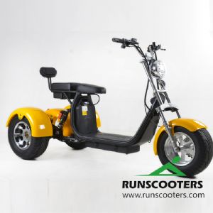 RUNSCOOTERS 3 WHEELS harley citycoco scooters motorcycleHLS04-D