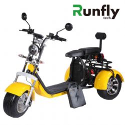 RUNFLYTECH 3 wheels EEC COC electric citycoco scootersCP-3.0