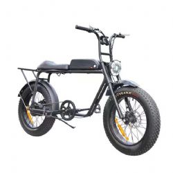 Electric bicycleEBA209