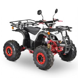 ELECTRIC ATVELECTRIC ATV