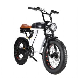 Electric BicycleSUPER73