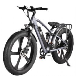 Electric BicycleZXC-4