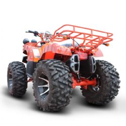 ATVBig Bull Deluxe petrol version